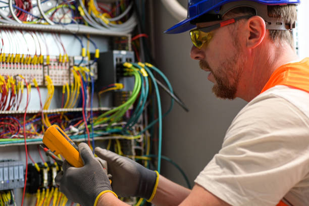 Best Electric Panel Repair  in Shelburn, IN